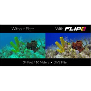 Alternative view of Backscatter FLIP FILTERS DIVE+ Bluewater Color Correction