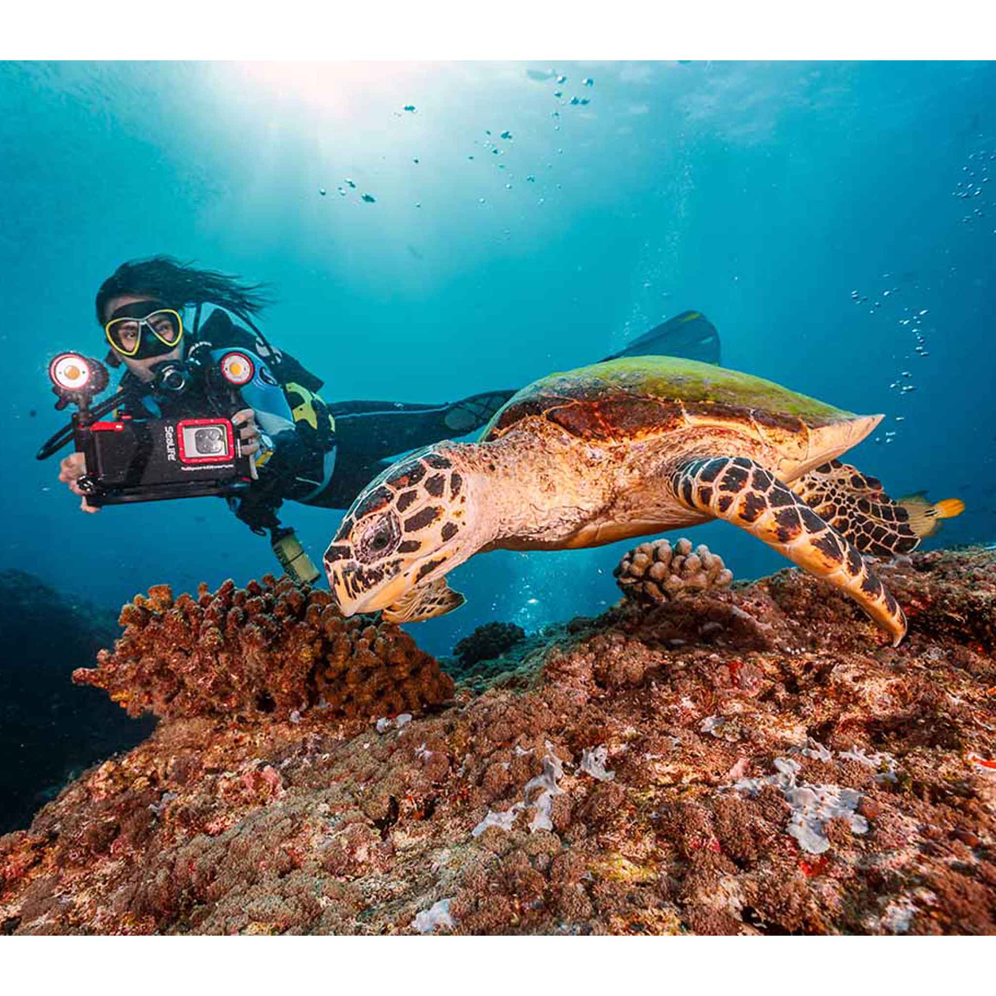 Sealife Sea Dragon Duo 10K+ Color Boost Set - Image 4